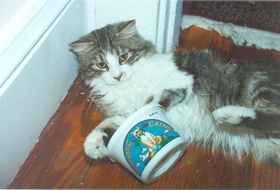 Gowron With Catnip