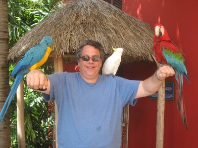 Shane King Of Toucans