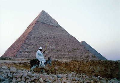 Cairo Pyramids And Donkey